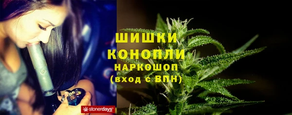 бошки Алзамай
