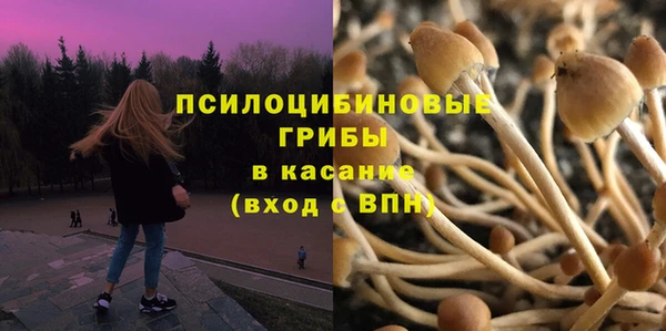 бошки Алзамай
