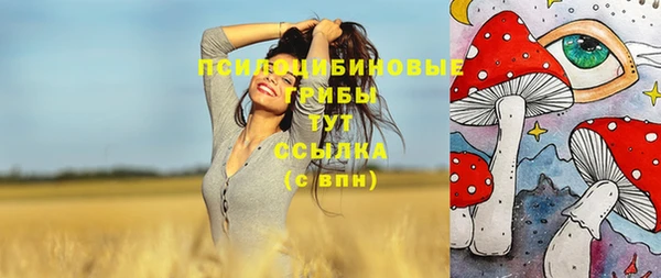 бошки Алзамай