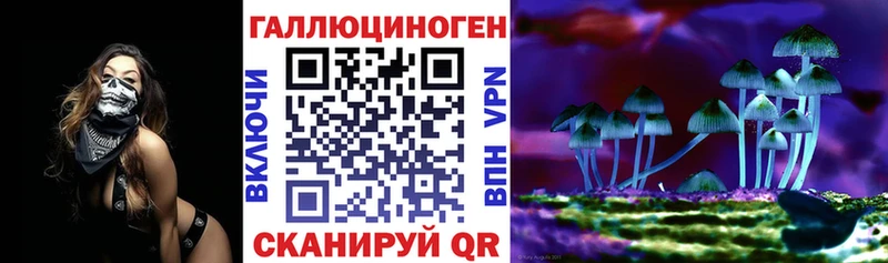 Галлюциногенные грибы Psilocybine cubensis  Краснообск 